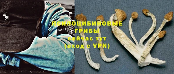 экстази Алексеевка