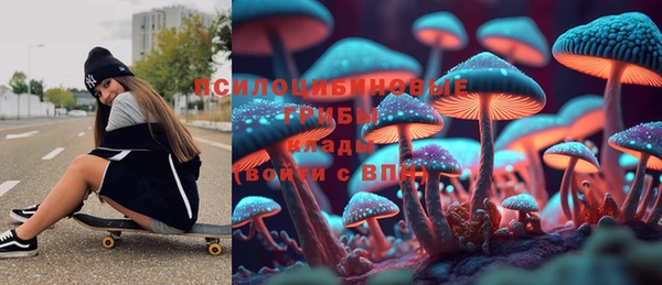 прущие грибы Киренск